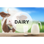 Dairy 