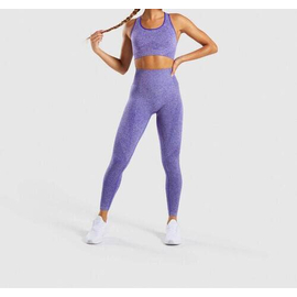 Antibacterial Sports Bra and Leggings/Pant Set- Purple, Size: M
